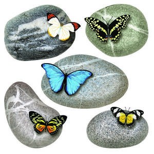 Decorațiune autocolantă Butterflies on Stones, 30 x 30 cm imagine