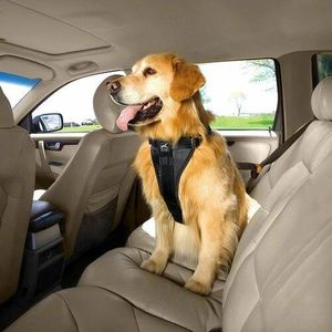 Kurgo Ham de siguranță pentru câini cu centurăauto, negru, XL imagine