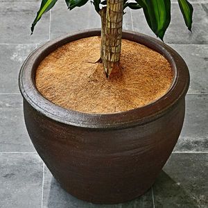 Covor de nucă de cocos pentru protecția plantelor imagine