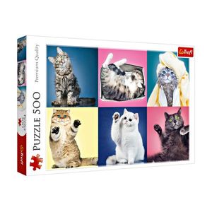 Puzzle 500 piese Pisici imagine