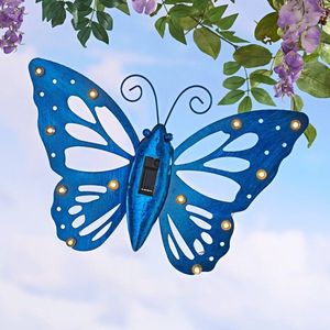 Fluture imagine