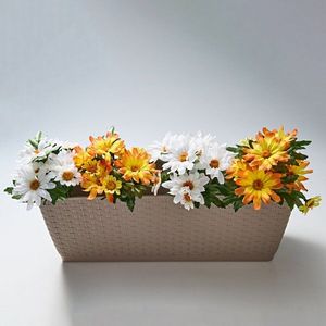 3 buchete pentru ghiveciul "Flori de vară" imagine