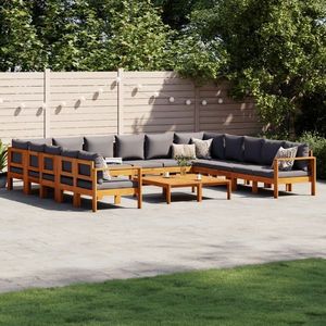 vidaXL Set de canapele de grădină cu perne 10 piese lemn masiv acacia imagine