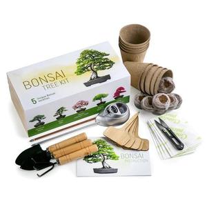 Kit de crestere plante Home Bonsai imagine