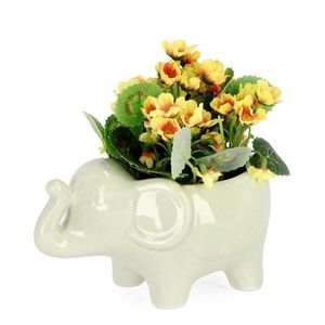 Floare artificiala in ghiveci Elephant, Bizzotto, 14x8.5x12 cm, ceramica, verde imagine