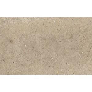 Gresie portelanata rectificata Iris Whole Stone 60x60cm 9mm Sand imagine