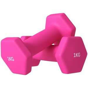 SPORTNOW Set de 2 Greutăți, Set de Gantere cu Prindere Antiderapantă pentru Antrenament, 1 kg, 13x5x5 cm, Roz | Aosom Romania imagine