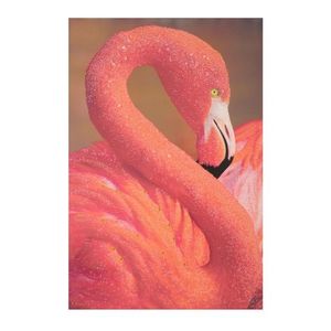 Tablou decorativ Flamingo -A, Mauro Ferretti, 80x120 cm, canvas, multicolor imagine