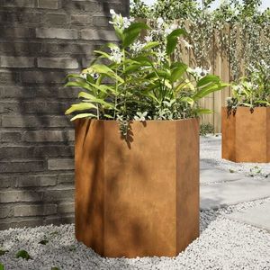 vidaXL Jardinieră grădină 2 buc. 46x40x45cm oțel corten hexagonală imagine