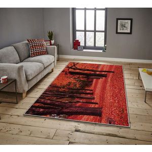 Covor, ASR CRPT-15 , 100x140 cm, Poliester, Multicolor imagine