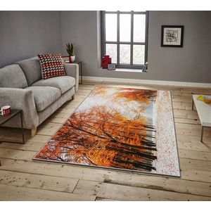 Covor, ASR CRPT-12 , 180x280 cm, Poliester, Multicolor imagine