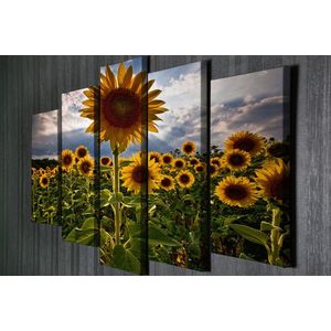 Set 5 tablouri decorative, BC039, Canvas, 70 x 20 cm, Multicolor imagine