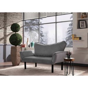 Canapea extensibilă cu 2 locuri, Futon, 859FTN1229, Metal, Gri imagine