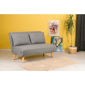 Canapea extensibilă cu 2 locuri, Futon, 859FTN2716, Metal , Gri deschis imagine