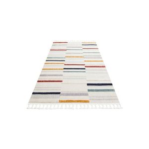 Covor de hol, Trz 01, 80x300 cm, Poliester, Multicolor imagine