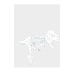 Sticker decorativ, Schelet T-REX, Alb, 45x38 cm imagine