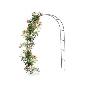 Arcada metalica de gradina pentru flori cataratoare, 240x140x38 cm imagine