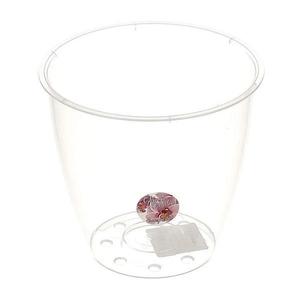 Ghiveci Dracula, din plastic, pentru orhidee, transparent, D 16.3 cm imagine