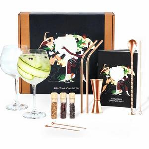 Set cadou pentru bauturi Gin Tonic Cocktail Rose 11 piese - Shaker din otel inoxidabil - 2 Pahare Gin-Tonic imagine