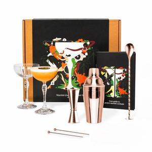 Set cadou pentru bauturi Cocktail Rose 7 piese - Shaker Cocktail din otel inoxidabil - 2 Pahare Martini Coupe imagine