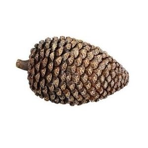 Decoratiune Pinecone M imagine