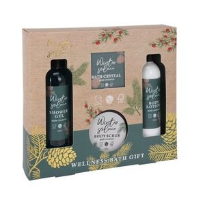 Set cadou ingrijire corp cu aroma de mar si scortisoara Winter Solace imagine