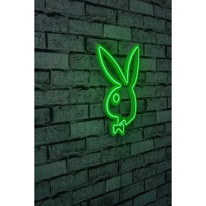 Decoratiune luminoasa LED, Playboy, Benzi flexibile de neon, DC 12 V, Verde imagine