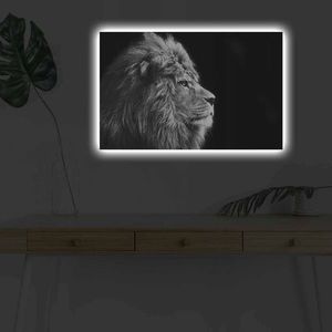 Tablou decorativ cu lumina LED, 4570DHDACT-058, Canvas, Dimensiune: 45 x 70 cm, Multicolor imagine