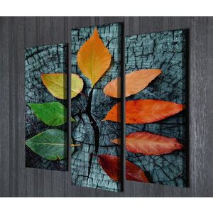 Set 3 tablouri decorative, UC67, Canvas, 45 x 20 cm, Multicolor imagine