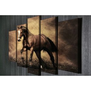 Set 5 tablouri decorative, BC040, Canvas, 70 x 20 cm, Multicolor imagine