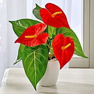 Anthurium, roșu imagine