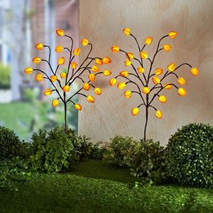 2 lumini LED Physalis imagine