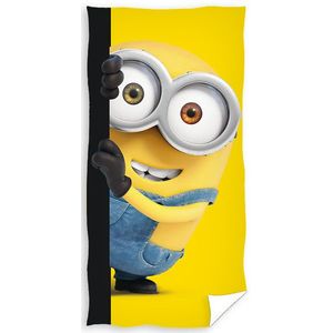 Prosop de Baie Minionii, Bob imagine