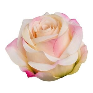 Floare artificială Rose cu clip imagine