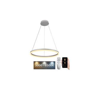 Lustră LED dimabilă pe cablu Brilagi CIRCLE LED/42W/230V 3000-6500K + telecomandă imagine