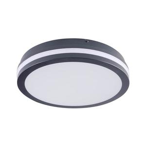 Corp de iluminat LED de exterior Brilagi BENE LED/24W/230V d. 26 cm IP54 imagine