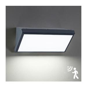 Aplică LED de exterior cu senzor Brilagi TRIANGLE LED/20W/230V IP65 imagine