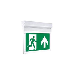 Corp de iluminat LED de urgență Sinclair NOPH LED/2W/230V IK06 verde imagine