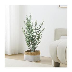 Plantă artificială în ghiveci Eglo 428378 TOBETSU 76x25, 5 cm imagine