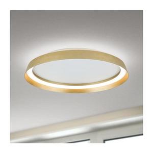 Plafonieră LED dimabilă Orion DL 7-699/45 MANTA LED/38W/230V 2700/3000/4000K d. 45 cm imagine