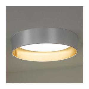 Plafonieră LED ROLLER LED/24W/230V d. 45 cm argintiu/auriu imagine