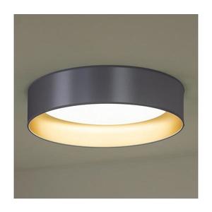 Plafonieră LED ROLLER LED/24W/230V d. 45 cm argintiu/auriu imagine