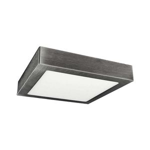 LED Plafonieră FENIX LED/12W/230V 3800K 17 cm imagine