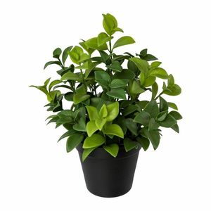 Ficus artificial în ghiveci, înălțime 28 cm imagine