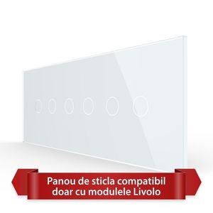 Panou Intrerupator Dublu + Dublu + Dublu cu Touch LIVOLO din Sticla, Standard Italian – 6/7M imagine