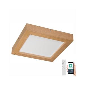 Plafonieră LED dimabilă Brilagi WOODY FRAME LED/24W/230V stejar 30x30 cm IP44 + telecomandă imagine