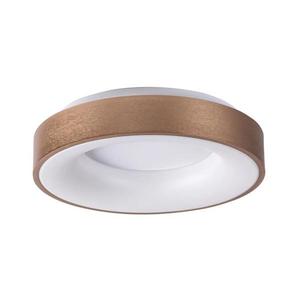 Rabalux 5053 - Plafonieră LED CARMELA LED/50W/230V imagine