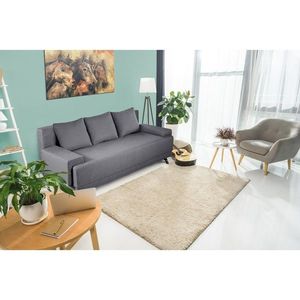 Canapea Extensibila Roma Grey 205x90x86 cm + lada de depozitare, gri imagine