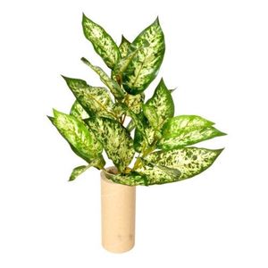 Dieffenbachia artificială verde, 45 cm imagine