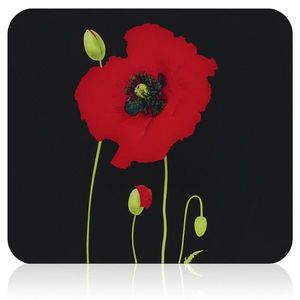 Protectie universala pentru aragaz Maximex, Poppy, 56x50 cm, sticla, multicolor imagine